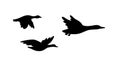 Banner with black silhouettes of flying migratory birds - duck, geese, dove Royalty Free Stock Photo